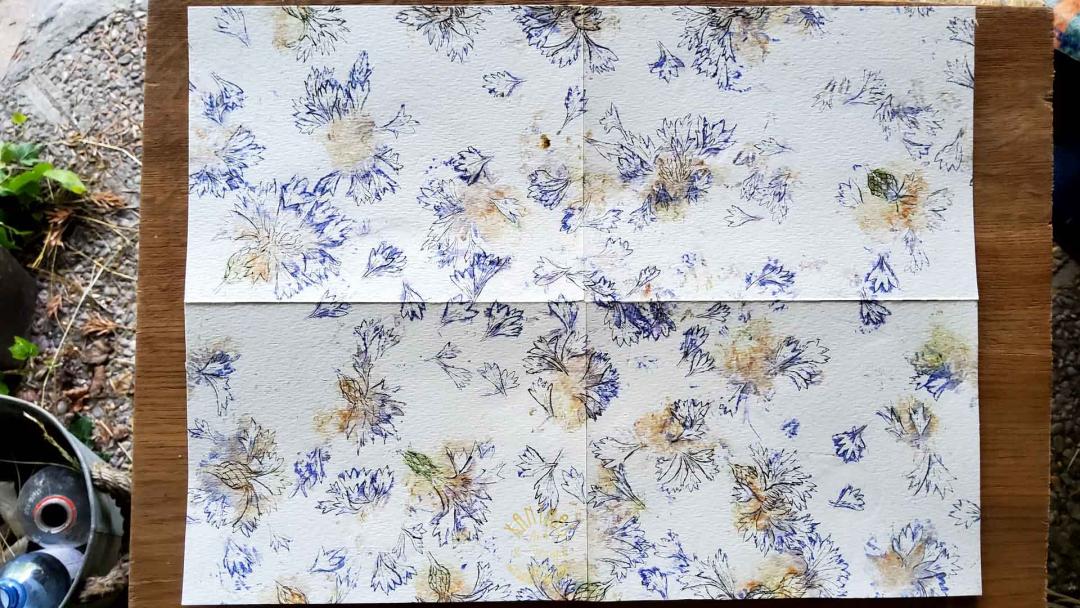 der akzentuierte Blumendruck für das Stoff- und Tapetenmuster Centaurea Cyanus — Kornblumen