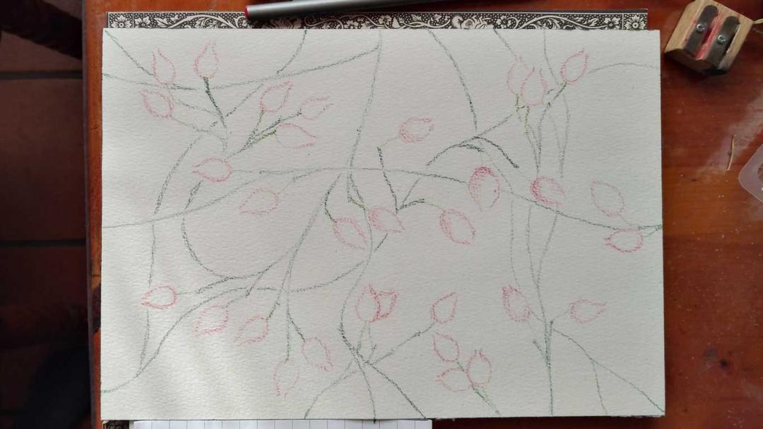 Der Beginn der Zeichnung für das Stoffmuster "Rosa Canina"